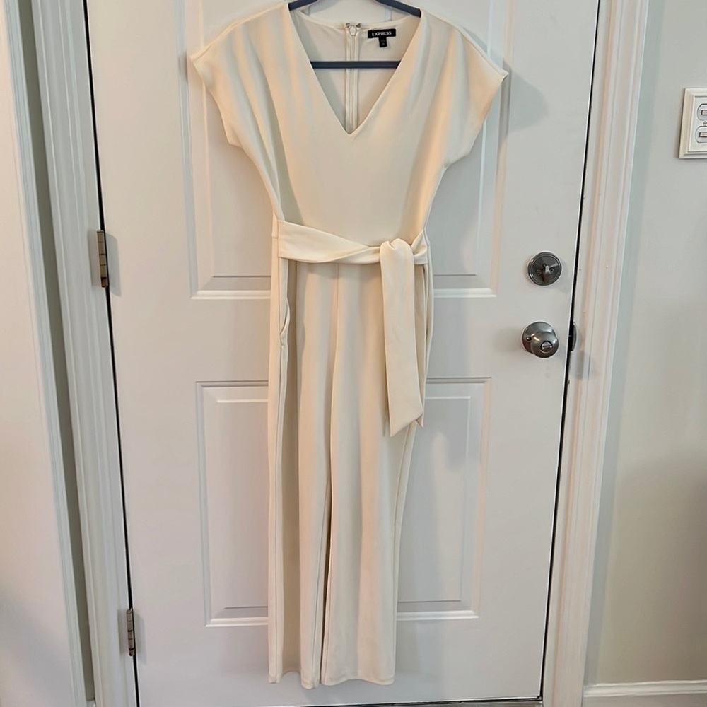 Express V-neck Sash Tie Waist Jumpsuit